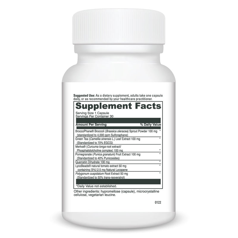 Daily Phyto Balance - Targeted Support for Gut, Brain, Immune, and Liver Function (Doctor Alex Supplements)