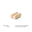 Brain Factors Thorne Research Products