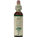 centaury flower essence (nelson bach)