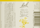 buy cerato flower essence (nelson bach)