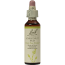 chestnut bud flower essences (nelson bach)
