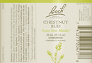 buy chestnut bud flower essences (nelson bach)