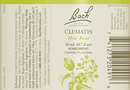 buy clematis flower essence (nelson bach)