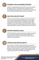 CoQ10 (Quicksilver Scientific) Benefits