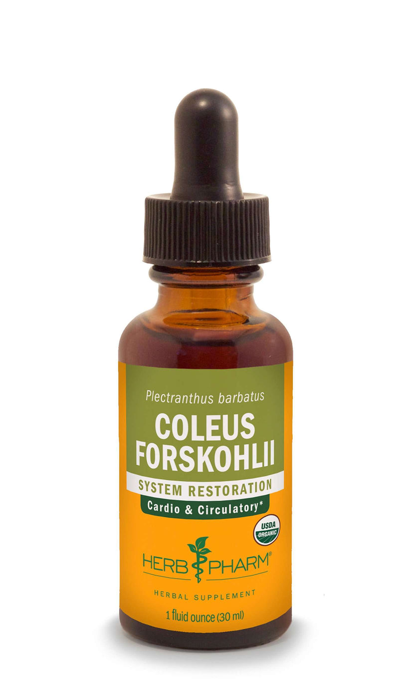 Coleus Forskohlii (Herb Pharm)