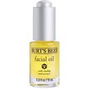 facial oil burts bees