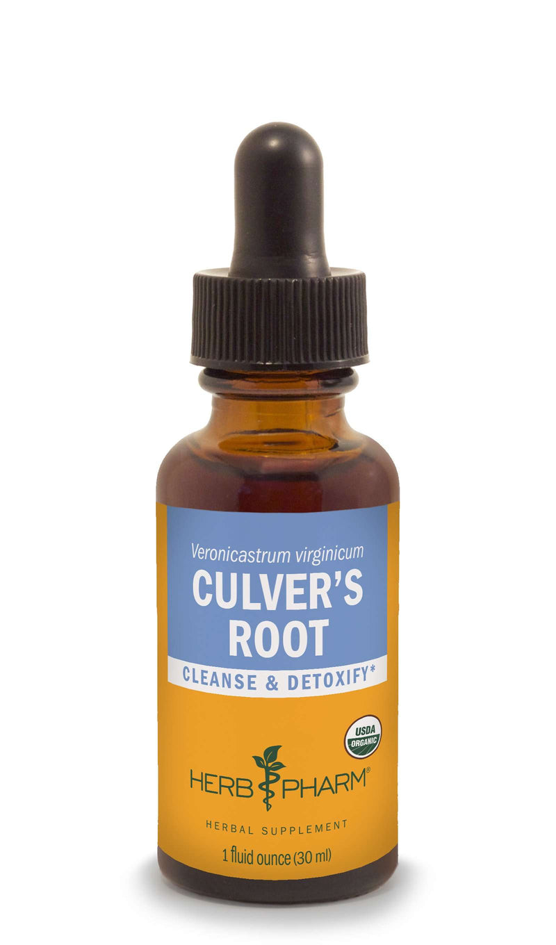 Culver's Root/Veronicastrum virginicum (Herb Pharm)
