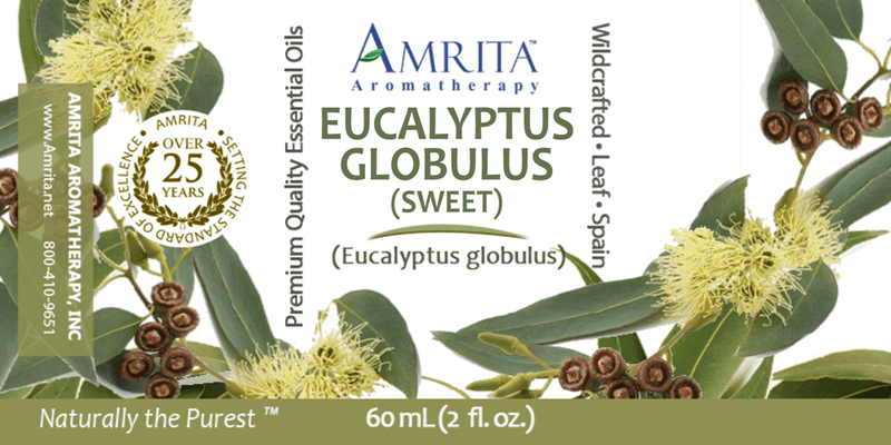 Eucalyptus Globulus (Sweet) (Amrita Aromatherapy) Label