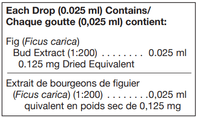Ficus carica 125 ml (UNDA) ingredients