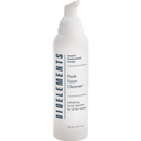 flash foam cleanser bioelements