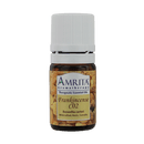 frankincense essential oil amrita aromatherapy