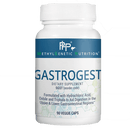 gastrogest professional health products