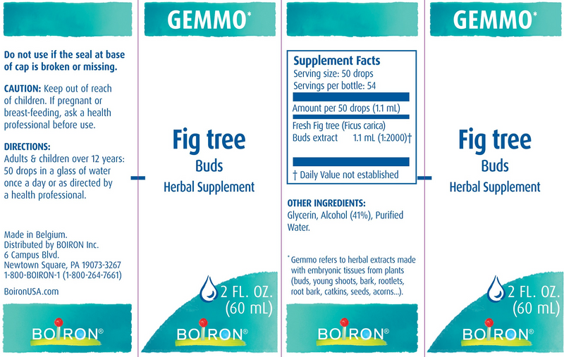 Gemmo Fig Tree Buds (Boiron) Label