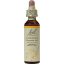 hornbeam flower essence (nelson bach)