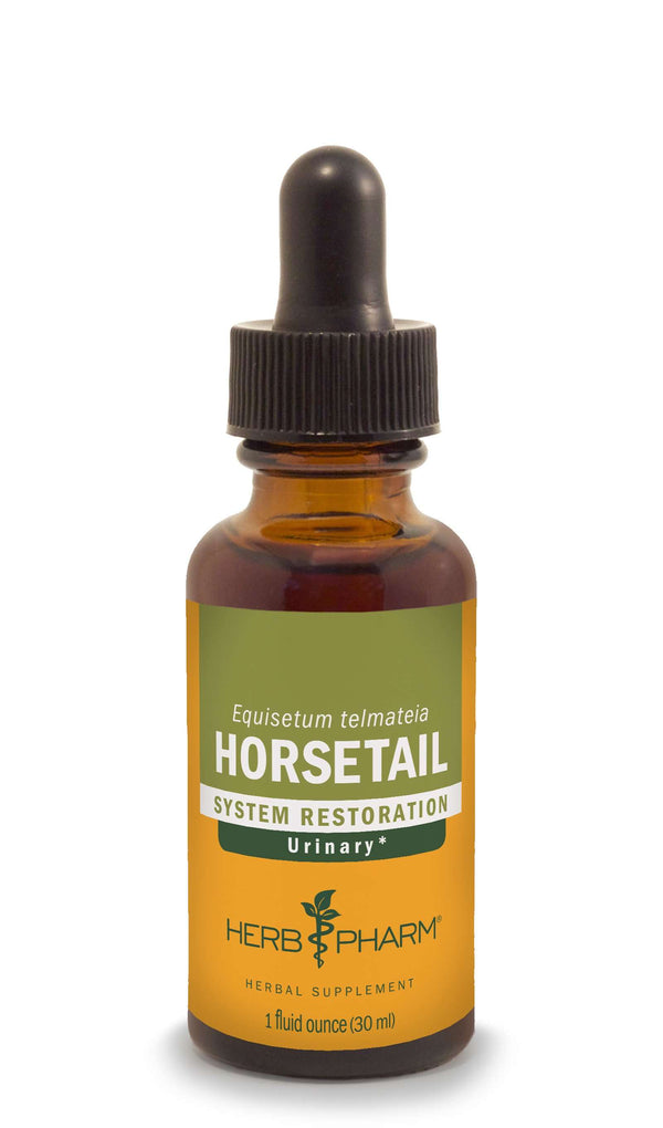 Horsetail 1oz | Herb Pharm