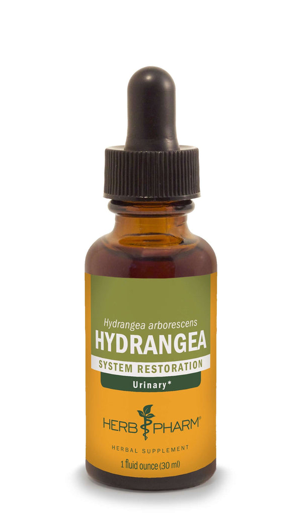 Hydrangea 1oz | Herb Pharm