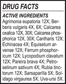 kidney-tone (energetix) drug facts