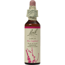 larch flower essence (nelson bach)