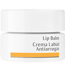 lip balm dr. hauschka skincare