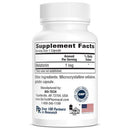 buy melatonin 1 mg bio-tech pharmacal