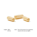 Methyl-Guard Plus Thorne Research Products