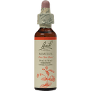 mimulus flower essence (nelson bach)