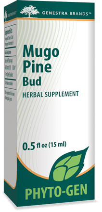 Mugo Pine Bud Genestra