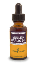 mullein garlic oil herb pharm