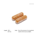 Multi-Vitamin Elite A.M. P.M NSF Thorne Research Products