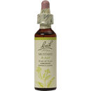 mustard flower essence (nelson bach)