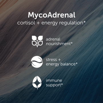 MycoAdrenal (EcoNugenics) Benefits