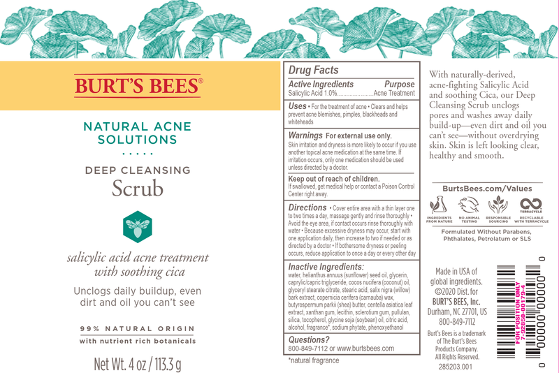 natural acne solutions pore scrub burts bees label
