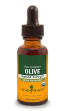 olive leaf herb pharm