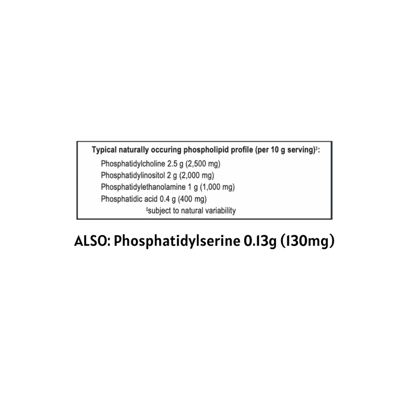 phosphatidylcholine | phosphatidylinositol | phopshatidylethanolamine | Phosphatidic acid | Phosphatidylserine