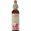 pine flower essence (nelson bach)