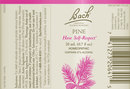 buy pine flower essence (nelson bach)