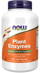 Plant Enzymes - 240 Capsules