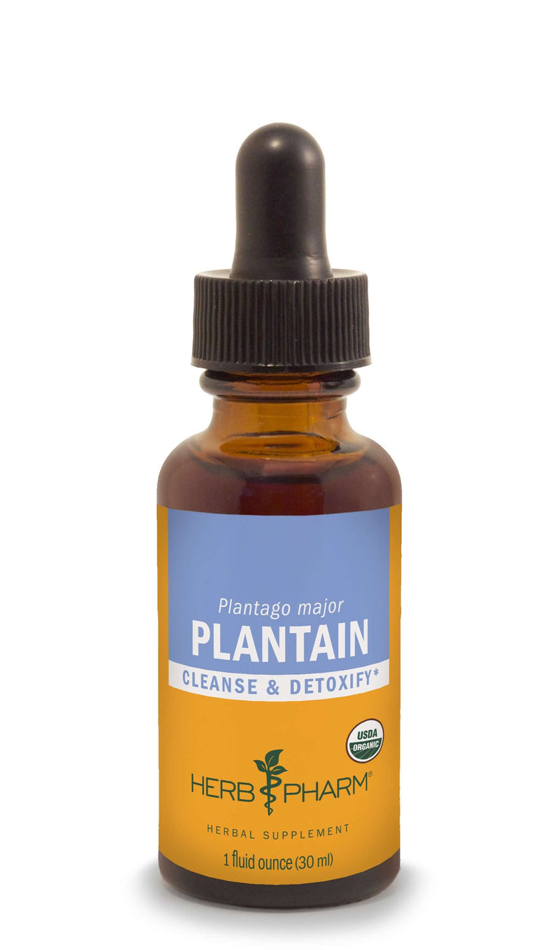 Plantain Herb Pharm