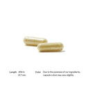 PolyResveratrol-SR Thorne Research Products