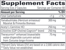 ProThrivers Wellness Brain