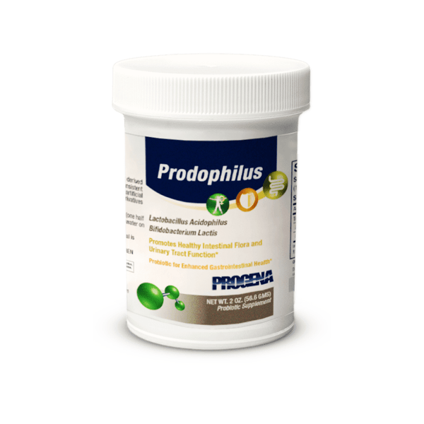 Prodophilus Progena