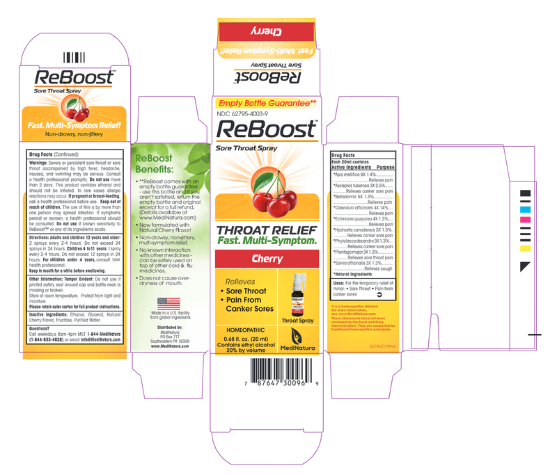 ReBoost Throat Spray Cherry (MediNatura Professional) Label