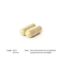 ResveraCel Thorne Research Products