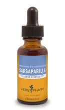 sarsaparilla herb pharm