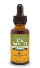saw palmetto herb pharm