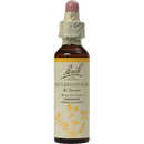 scleranthus flower essense (nelson bach)