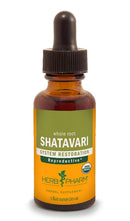 shatavari herb pharm