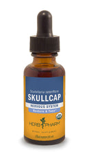 skullcap herb pharm
