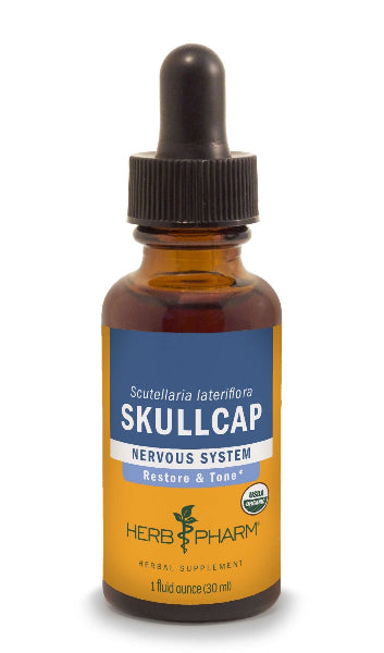 skullcap herb pharm
