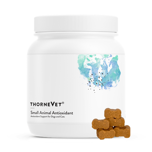 Small Animal Antioxidant (Thorne Vet)